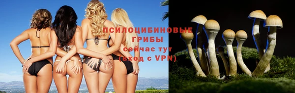 PSILOCYBIN Арсеньев