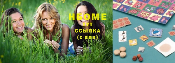 стафф Аркадак